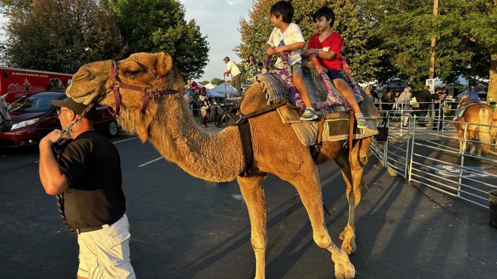 Naperville to Celebrate Muslims’ Heritage, Cuisine in Halal Festival - About Islam