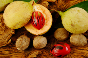 nutmeg