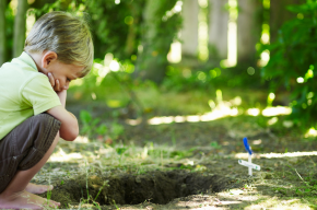 boy looking at gave of a pet