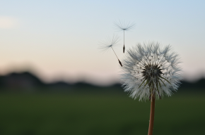 My Family Trained Me to Be Afraid of Everything; I Feel Depressed