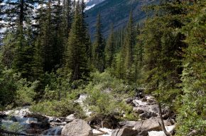 How Can We Find Allah?