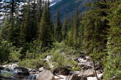 How Can We Find Allah?