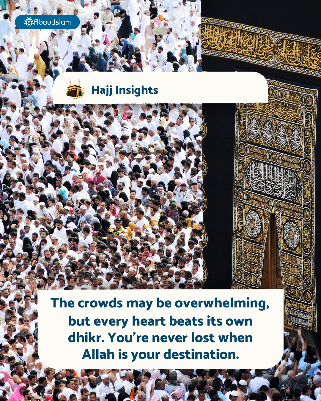 Hajj Insights